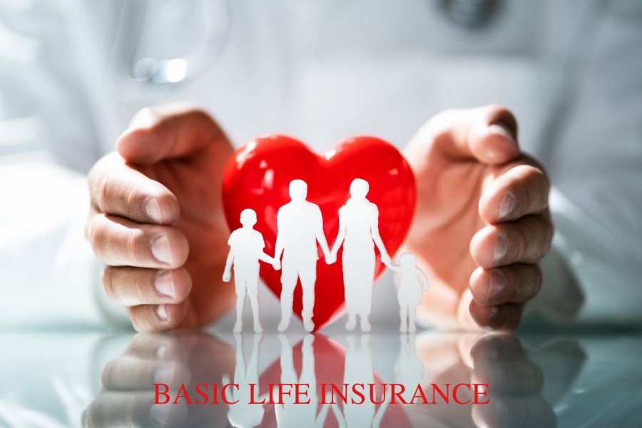 What is Basic Life Insurance: A Comprehensive Guide