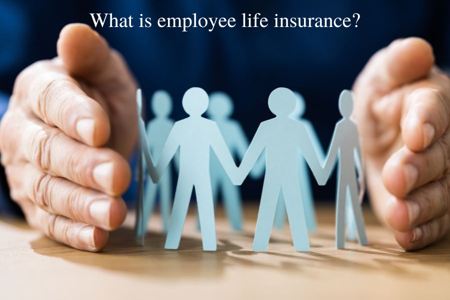 What is supplemental employee life insurance?