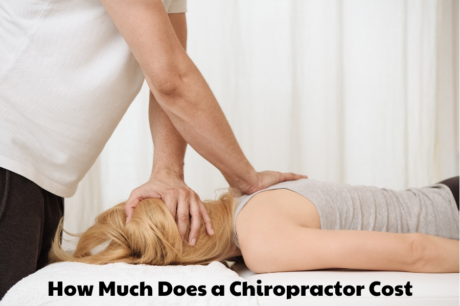 How Much Does a Chiropractor Cost? 2024 Pricing Insights